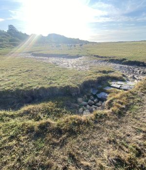 Aanmelding veldcollege '150 JAAR KWADE HOEK' (Goeree) 28 maart 2026 10u-12u